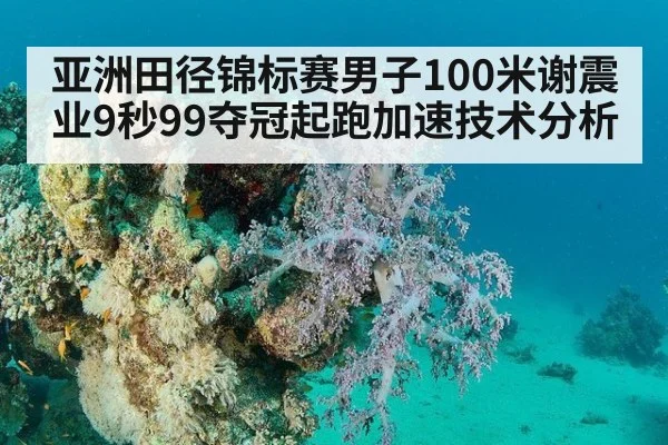 亚洲田径锦标赛男子100米谢震业9秒99夺冠起跑加速技术分析